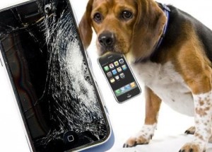 iPhone Katastrophe: Zerbrochenes Displayglas
