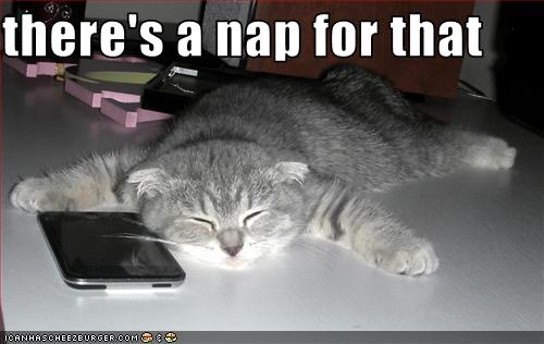 iPhone - There's a Nap for That