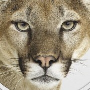 Offiziell: OS X 10.8 heißt Mountain Lion
