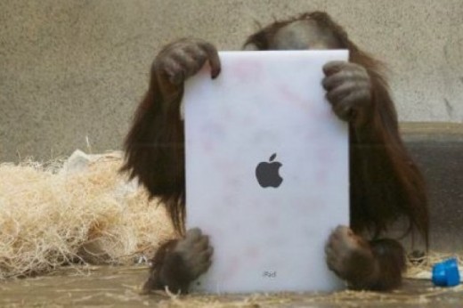 iPad: US-Zoos verwenden Apple-Technik gegen Lethargie